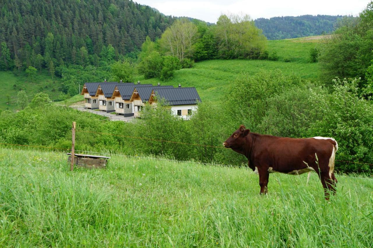 Rekreacna Usadlost Pieninka Lesnica Exterior foto